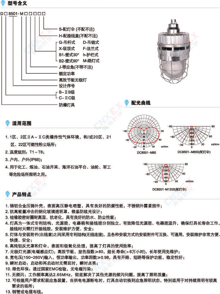 DC8501-M系列防爆高效节能无极灯(IIB/DIP)的型号及特点