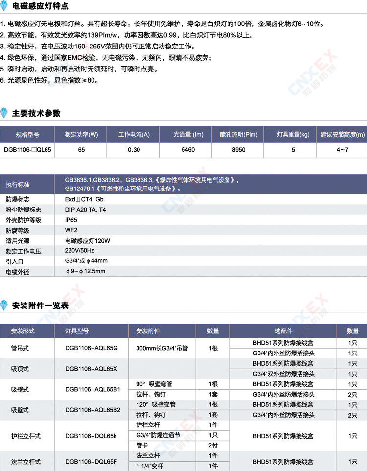 DGB1106-□QL65免维护节能防爆灯的参数、电磁感应灯特点、安装附件