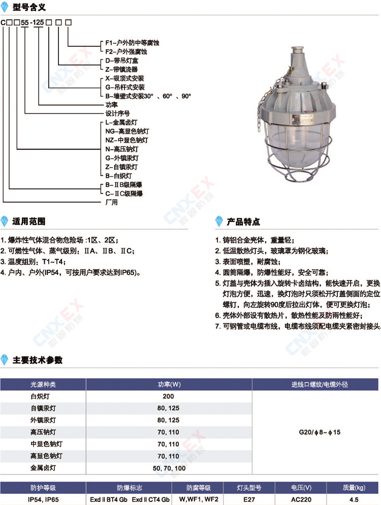 CBG55-125隔爆型防爆灯(IIB/IIC)的型号含义、特点、参数