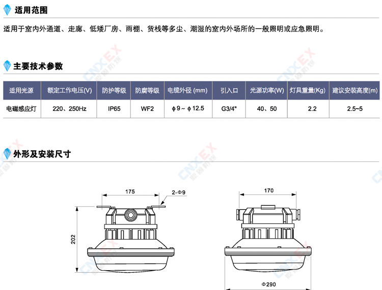 DGF6107-□QL40免维护节能防水防尘防腐灯的适用范围、参数、尺寸